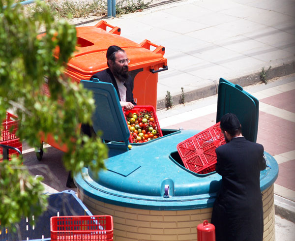 страна текущая овощами
харедим в Араде коробками выбрасыввают помидоры  в контейнер для мусора
Keywords: харедим гур ультраортодоксы город Арад ортодоксы